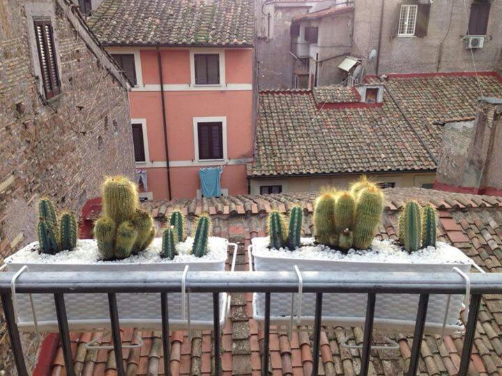Ferienwohnung Campo Dei Fiori Funny Flat Rom Exterior foto